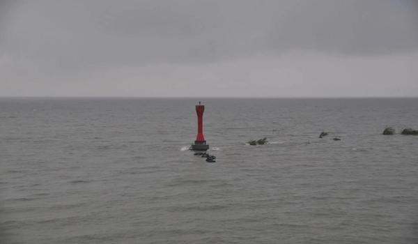 三角洲行动枪配件哪里买（哪个平台能买到三角洲行动的真枪配件？）